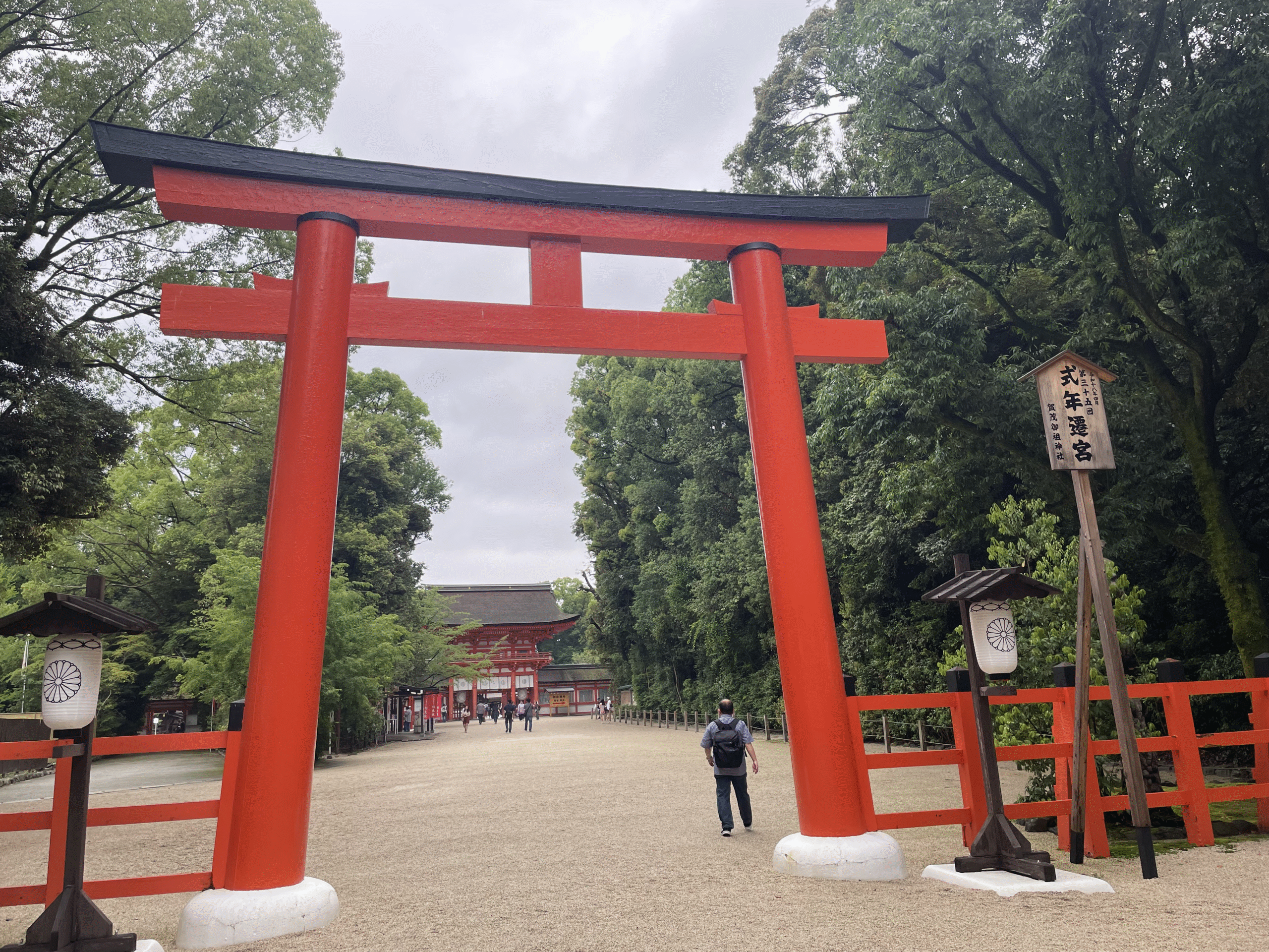 The Whispering Pines of Kyoto’s Tadasu-no-Mori